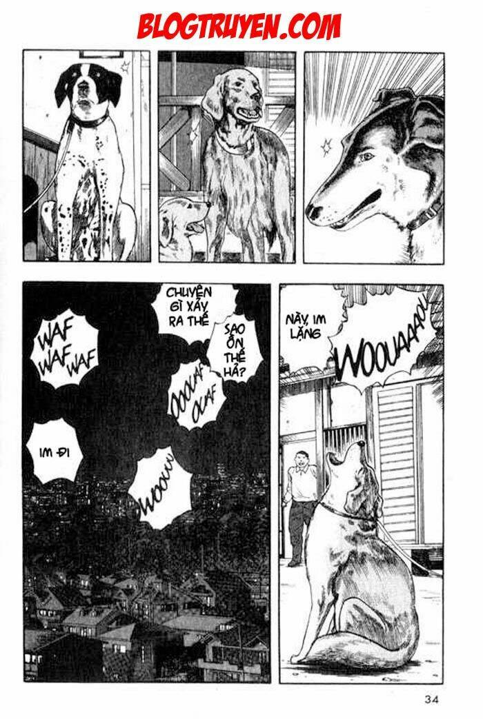 Trang 34