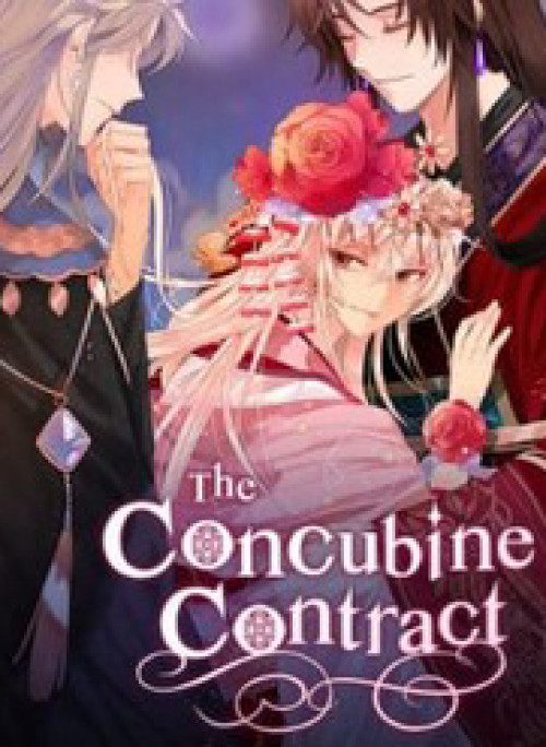 Ái Phi Khế Ước