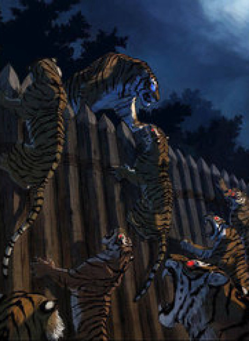 Anh Trai Tôi Là Hổ