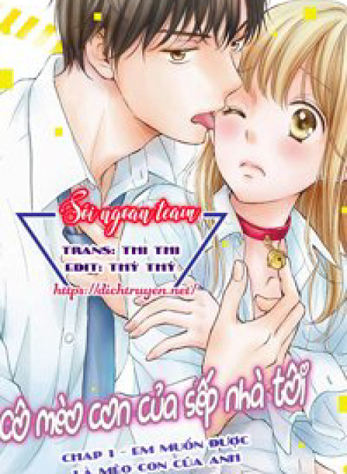 Cô mèo con của sếp nhà tôi