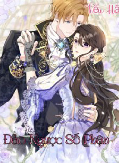 Đảo Ngược Số Phận