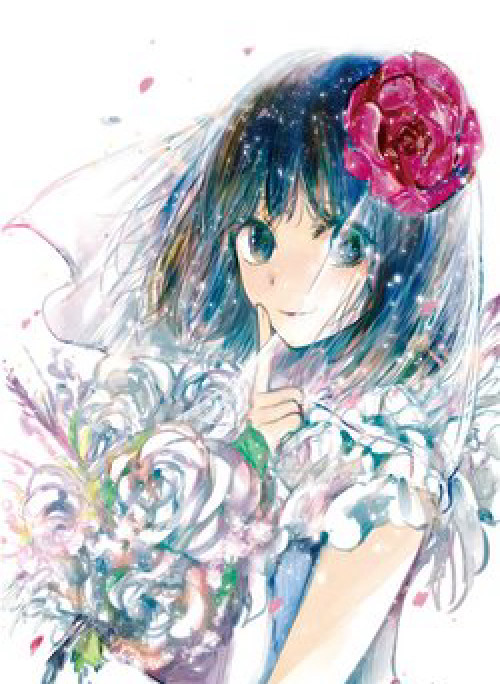 Kuzu no Honkai Décor